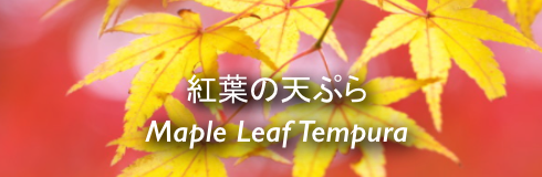 Maple-Banner