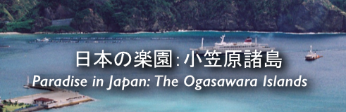 Ogasawara-Banner