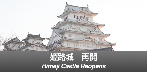 Himeji Castle-Banner