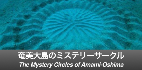 Circle-Banner