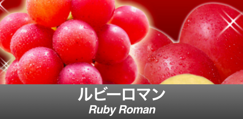Rubby Roman-Banner