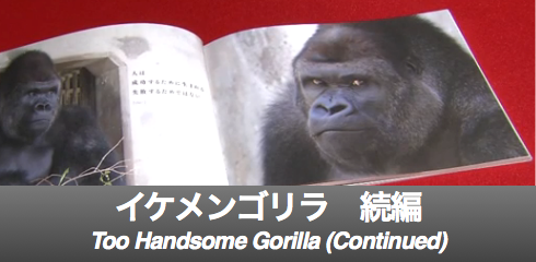 Gorilla -2