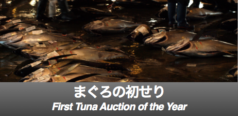 Tuna-banner