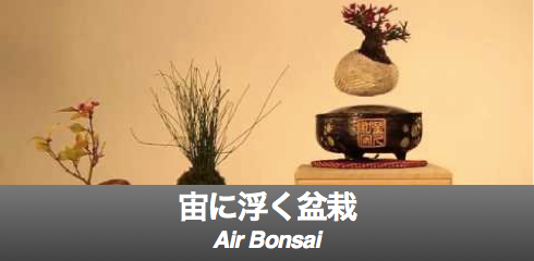 Bonsai-banner