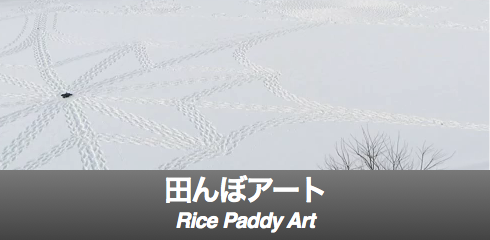 Rice-Banner