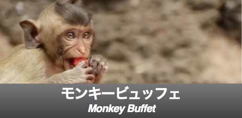 monkey-buffet-banner